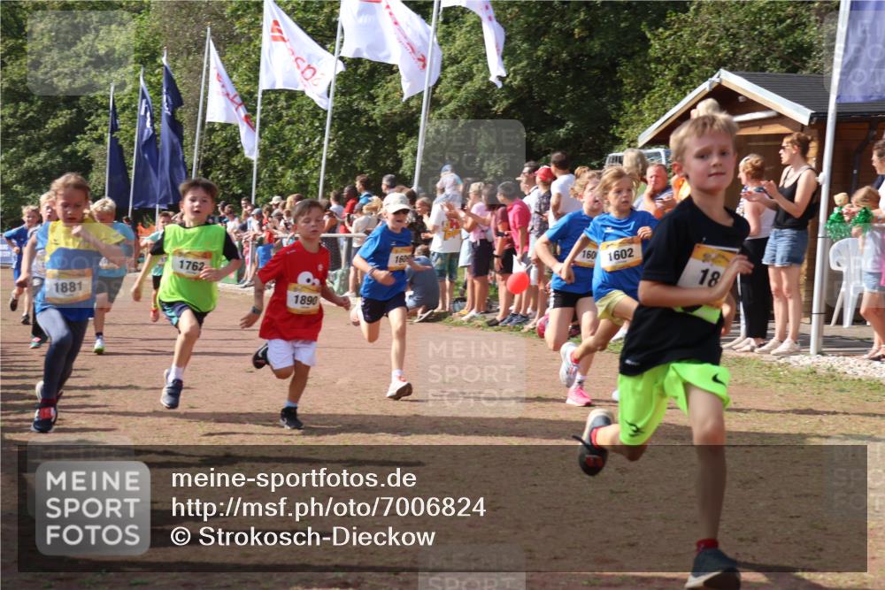 08.09.2024 - Airport Race Strokosch-Dieckow http://msf.ph/oto/7006824 08.09.2024 11:28:23 Ziel 1602, 1606, 1609, 1618, 1632, 1698, 1742, 1762, 1819, 1827, 1830, 1881, 1890, 3408 meine-sportfotos.de