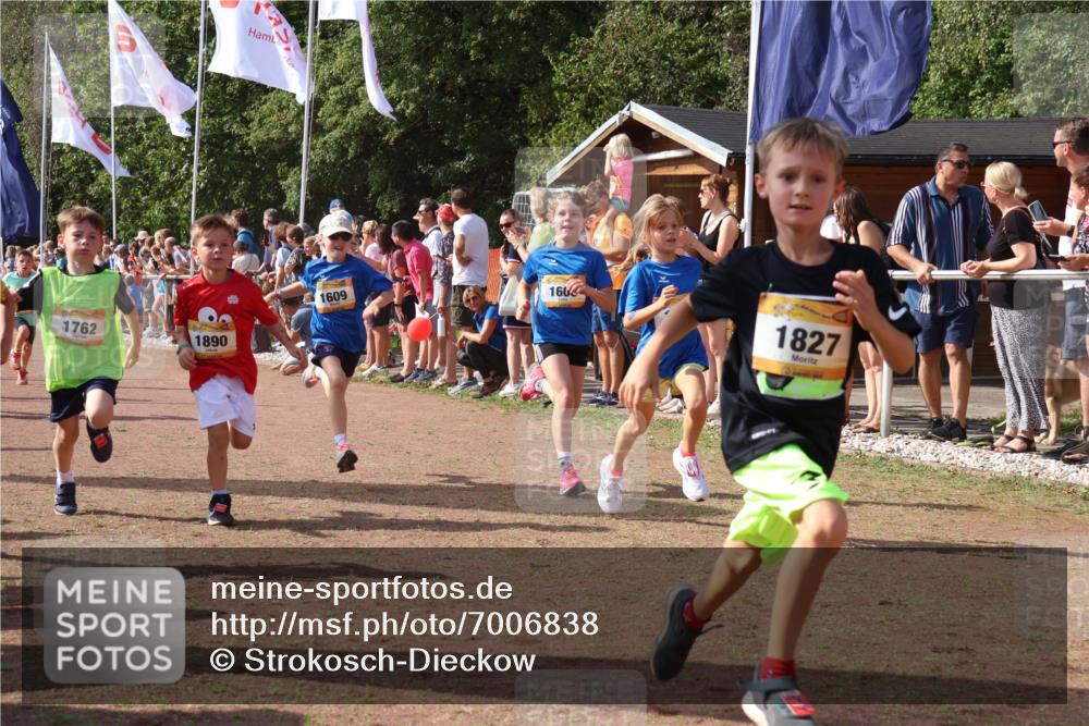 08.09.2024 - Airport Race Strokosch-Dieckow http://msf.ph/oto/7006838 08.09.2024 11:28:23 Ziel 1602, 1606, 1609, 1618, 1632, 1698, 1742, 1762, 1819, 1827, 1830, 1881, 1890, 3408 meine-sportfotos.de