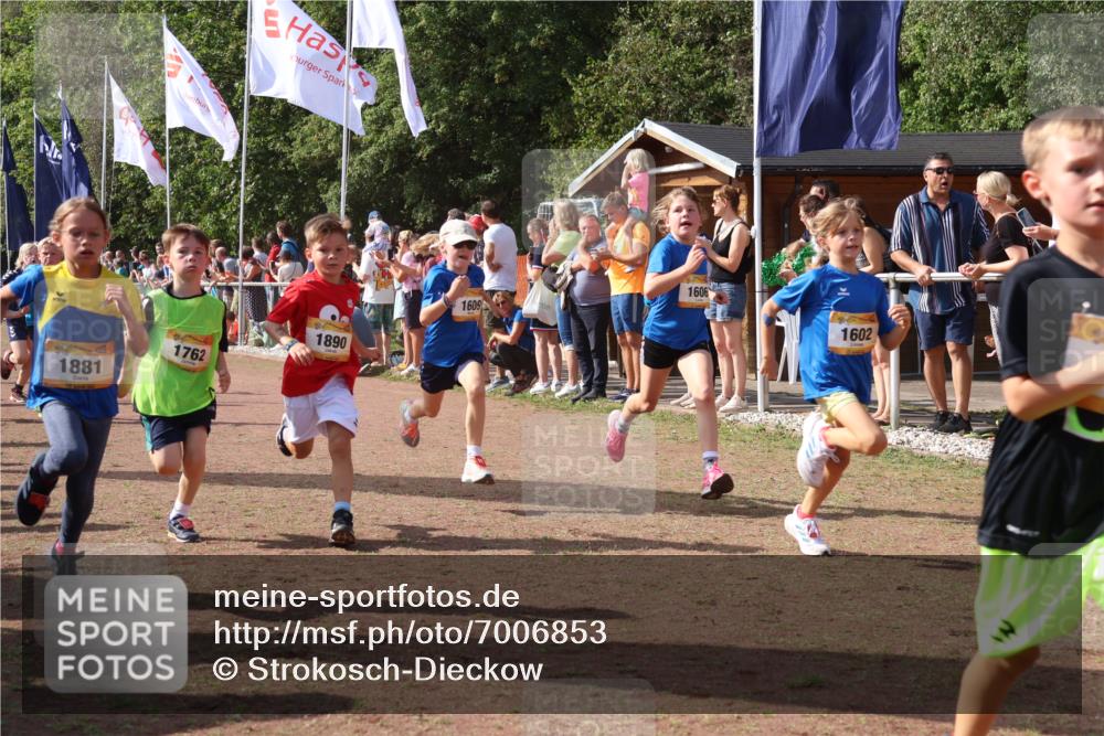 08.09.2024 - Airport Race Strokosch-Dieckow http://msf.ph/oto/7006853 08.09.2024 11:28:24 Ziel 1602, 1606, 1609, 1618, 1632, 1698, 1742, 1762, 1819, 1827, 1830, 1881, 1890, 3408 meine-sportfotos.de