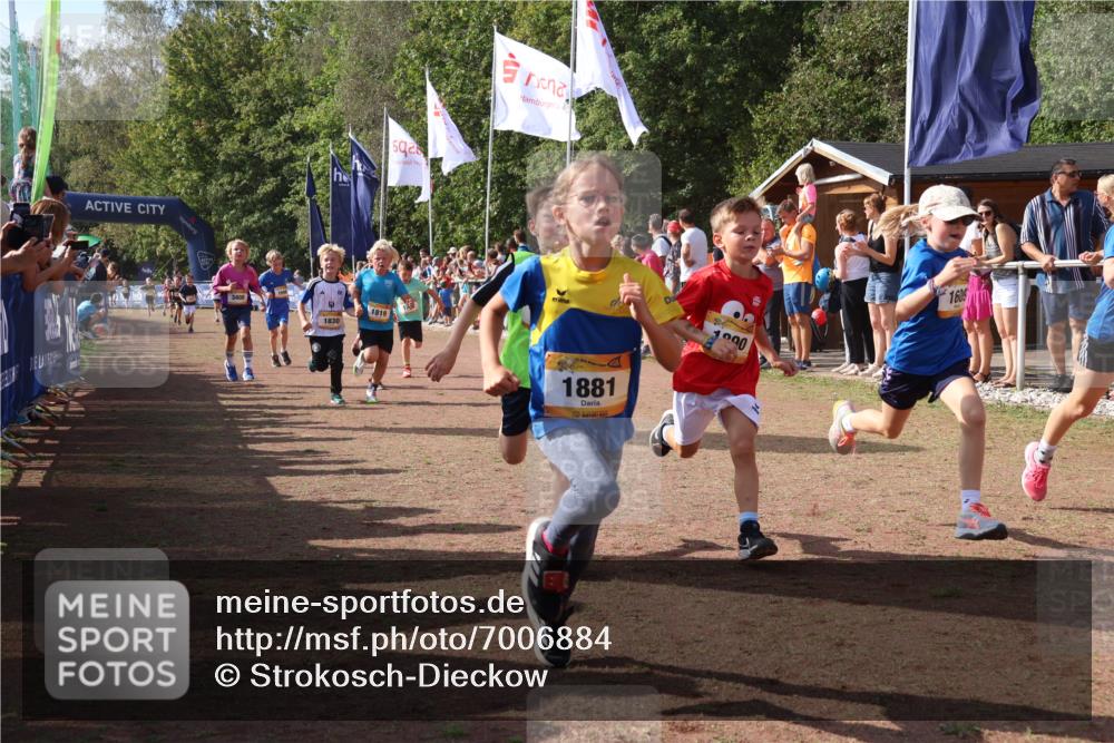 08.09.2024 - Airport Race Strokosch-Dieckow http://msf.ph/oto/7006884 08.09.2024 11:28:24 Ziel 1602, 1606, 1609, 1618, 1632, 1698, 1742, 1762, 1819, 1827, 1830, 1881, 1890, 3408 meine-sportfotos.de