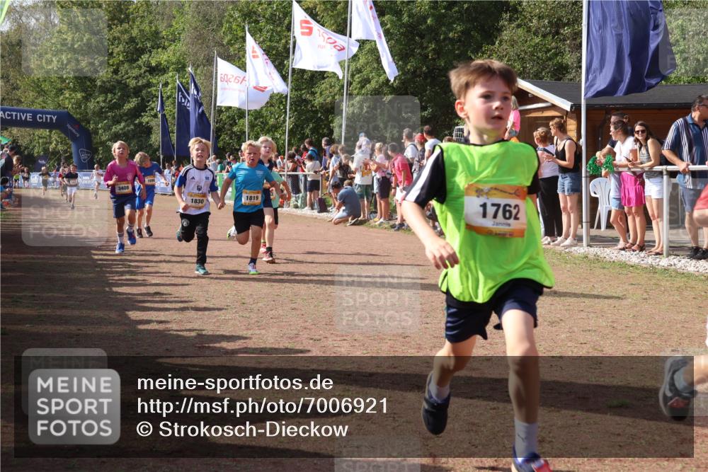 08.09.2024 - Airport Race Strokosch-Dieckow http://msf.ph/oto/7006921 08.09.2024 11:28:25 Ziel 1602, 1606, 1609, 1618, 1620, 1632, 1698, 1716, 1742, 1762, 1819, 1827, 1830, 1881, 1890, 3408 meine-sportfotos.de