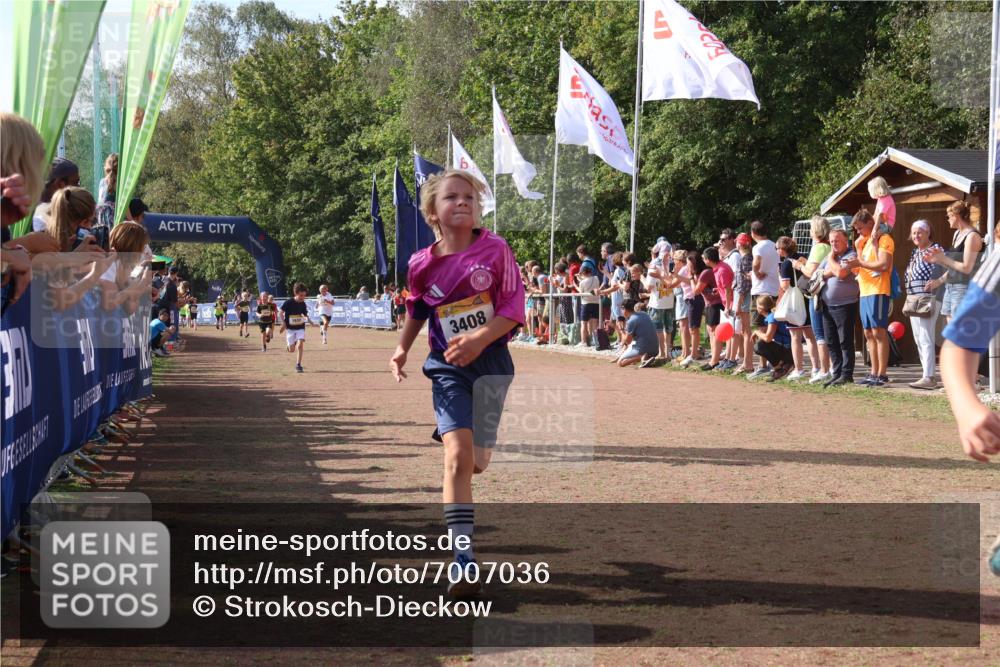 08.09.2024 - Airport Race Strokosch-Dieckow http://msf.ph/oto/7007036 08.09.2024 11:28:27 Ziel 1618, 1620, 1632, 1698, 1716, 1742, 1762, 1819, 1830, 1890, 3408 meine-sportfotos.de