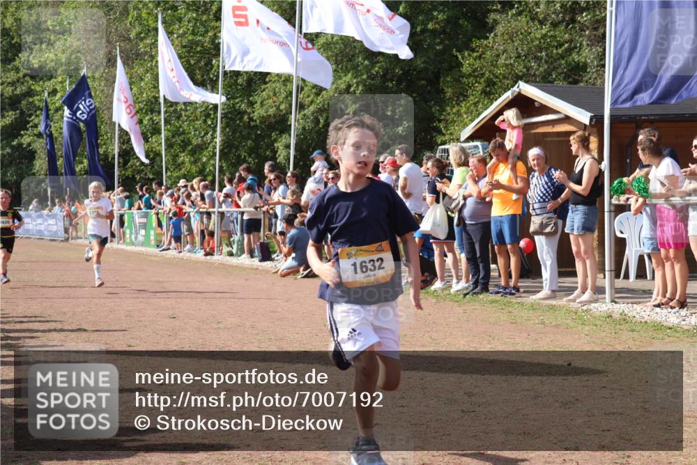 08.09.2024 - Airport Race Strokosch-Dieckow http://msf.ph/oto/7007192 08.09.2024 11:28:31 Ziel 1620, 1632, 1716, 1739, 1790, 1918, 3419, 3426 meine-sportfotos.de