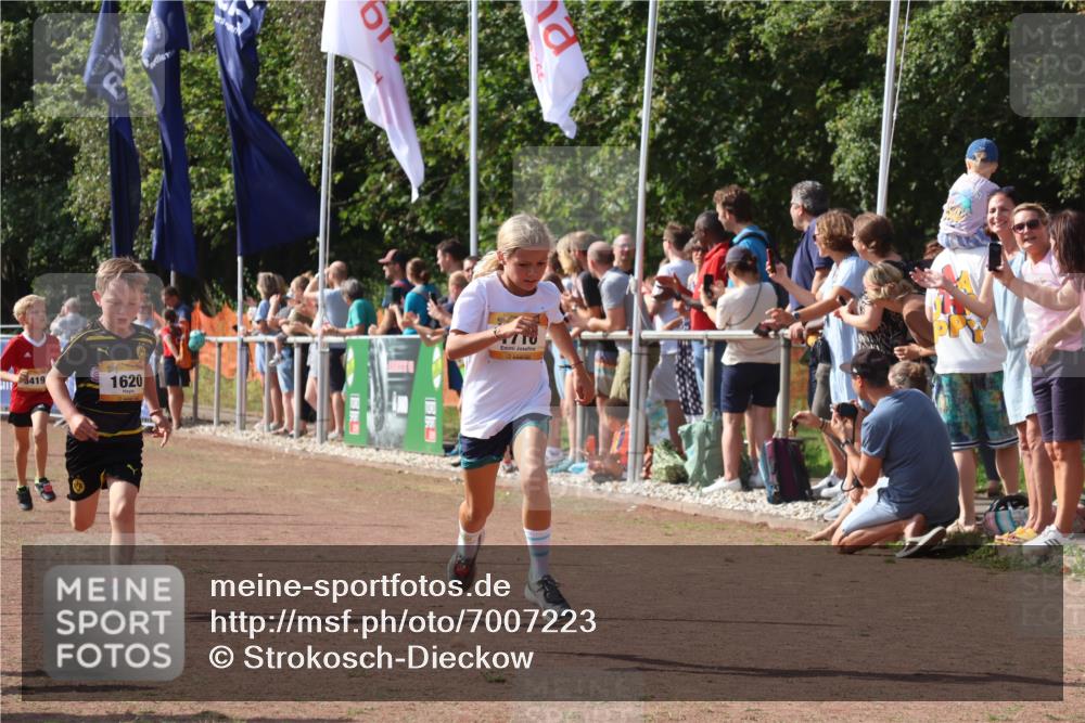 08.09.2024 - Airport Race Strokosch-Dieckow http://msf.ph/oto/7007223 08.09.2024 11:28:32 Ziel 1620, 1632, 1716, 1739, 1779, 1790, 1858, 1918, 3419, 3426 meine-sportfotos.de