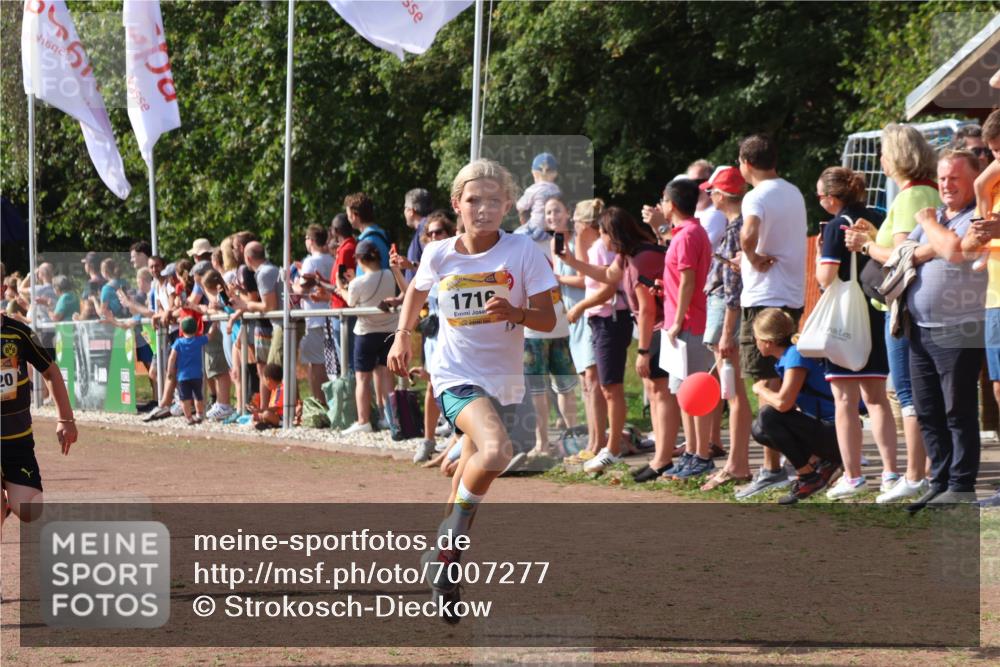 08.09.2024 - Airport Race Strokosch-Dieckow http://msf.ph/oto/7007277 08.09.2024 11:28:33 Ziel 1620, 1716, 1739, 1779, 1790, 1858, 1918, 3419, 3426 meine-sportfotos.de