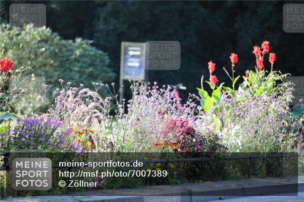 08.09.2024 - Stadtparktriathlon Zöllner http://msf.ph/oto/7007389 08.09.2024 08:50:56 Radfahren 29, 47, 48, 50 meine-sportfotos.de