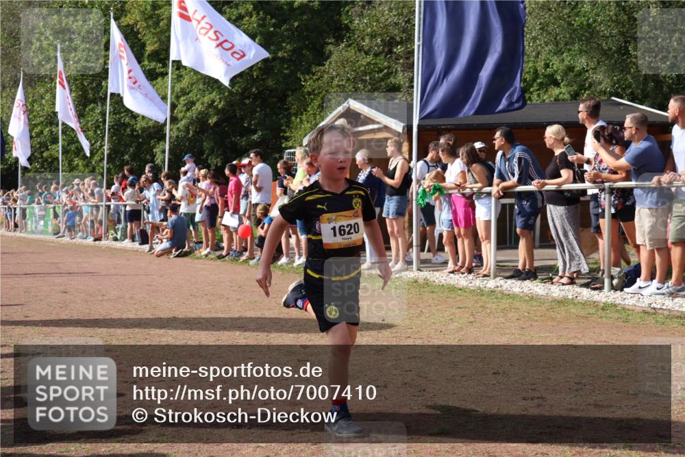 08.09.2024 - Airport Race Strokosch-Dieckow http://msf.ph/oto/7007410 08.09.2024 11:28:35 Ziel 1604, 1620, 1716, 1739, 1760, 1771, 1779, 1790, 1858, 1918, 3419, 3426 meine-sportfotos.de