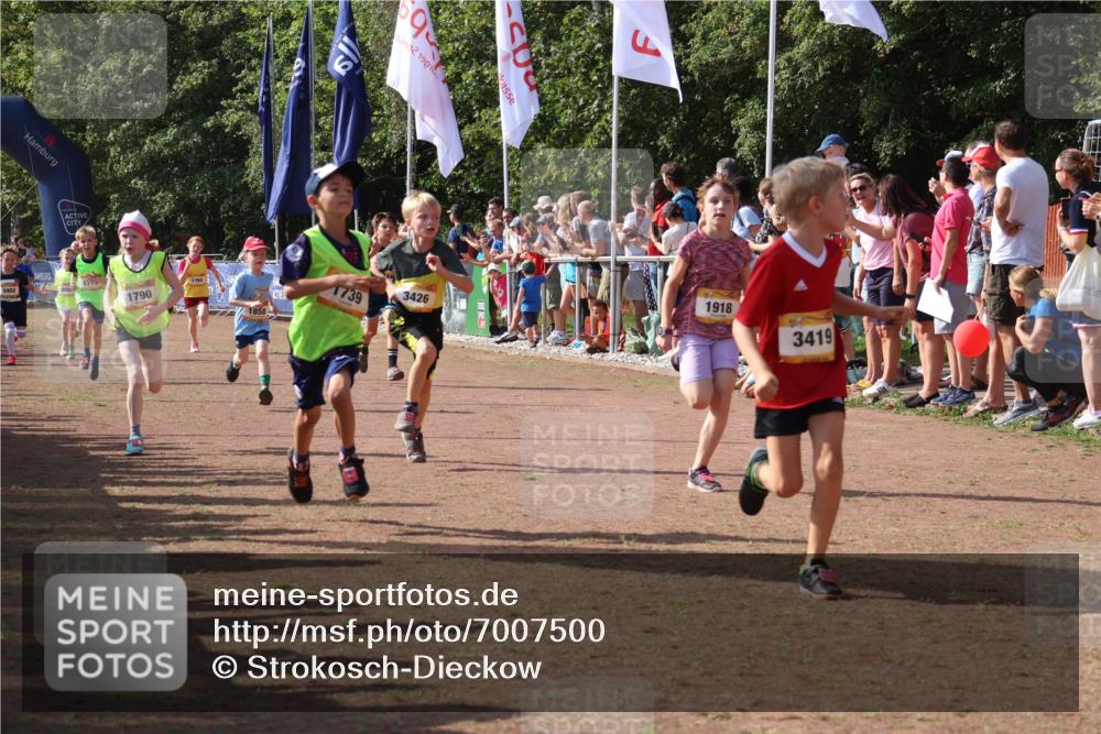 08.09.2024 - Airport Race Strokosch-Dieckow http://msf.ph/oto/7007500 08.09.2024 11:28:38 Ziel 1604, 1731, 1739, 1760, 1771, 1779, 1790, 1858, 1918, 3402, 3419, 3426 meine-sportfotos.de