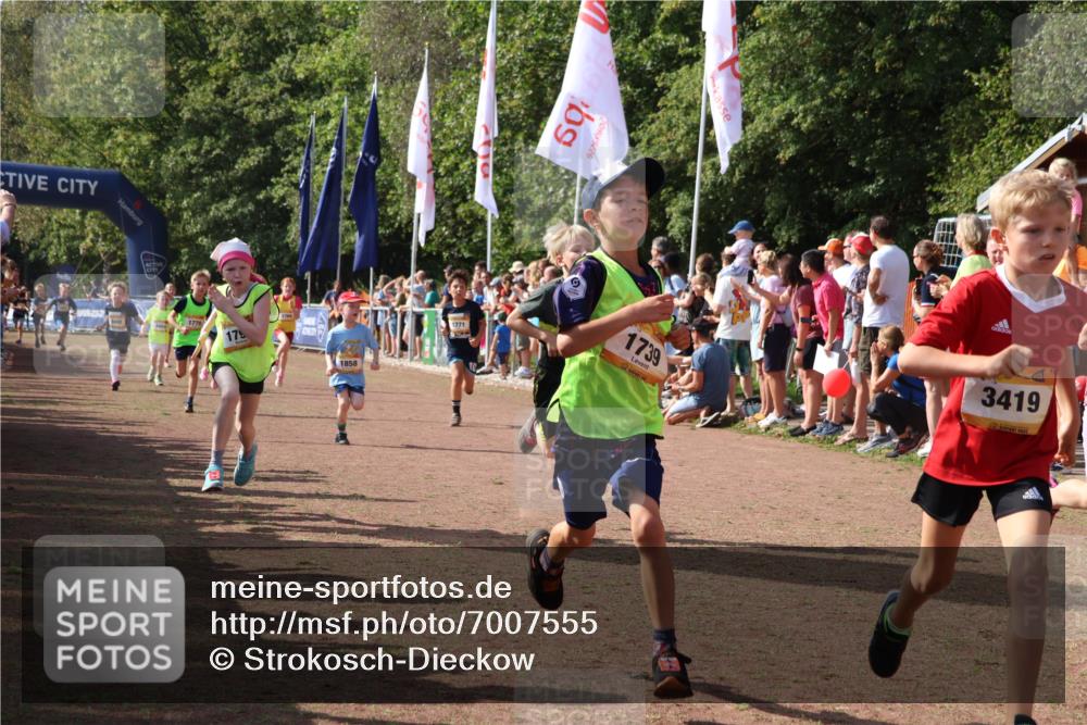 08.09.2024 - Airport Race Strokosch-Dieckow http://msf.ph/oto/7007555 08.09.2024 11:28:39 Ziel 1604, 1731, 1739, 1760, 1771, 1779, 1790, 1858, 1918, 1933, 3402, 3404, 3419, 3426 meine-sportfotos.de