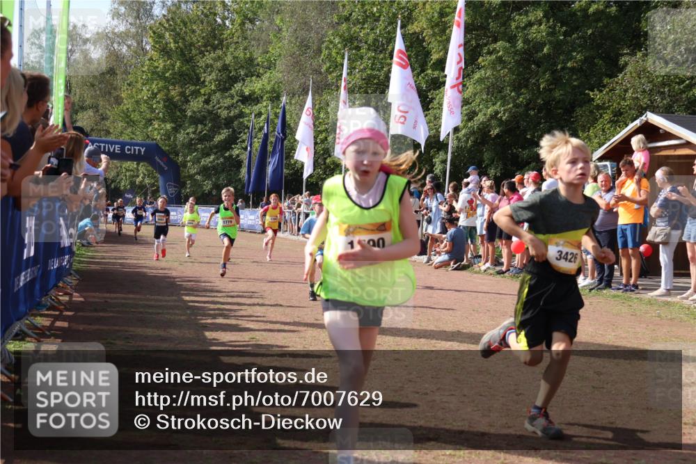 08.09.2024 - Airport Race Strokosch-Dieckow http://msf.ph/oto/7007629 08.09.2024 11:28:40 Ziel 1604, 1731, 1739, 1760, 1771, 1779, 1790, 1817, 1858, 1918, 1933, 3402, 3404, 3419, 3426 meine-sportfotos.de