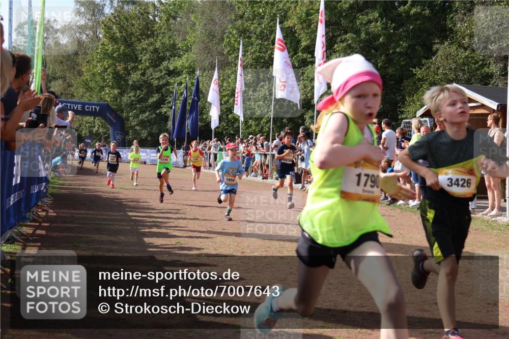 08.09.2024 - Airport Race Strokosch-Dieckow http://msf.ph/oto/7007643 08.09.2024 11:28:41 Ziel 1604, 1660, 1731, 1739, 1760, 1771, 1779, 1790, 1817, 1858, 1918, 1933, 3402, 3404, 3419, 3426 meine-sportfotos.de