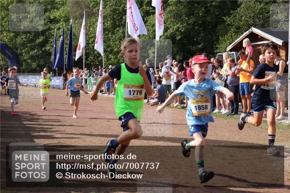 08.09.2024 - Airport Race Strokosch-Dieckow http://msf.ph/oto/7007737 08.09.2024 11:28:43 Ziel 1604, 1660, 1731, 1760, 1771, 1779, 1817, 1855, 1858, 1877, 1909, 1933, 3402, 3404, 3426 meine-sportfotos.de