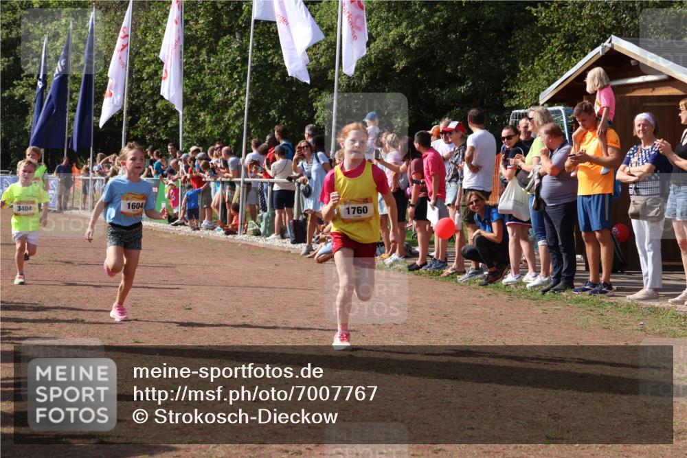 08.09.2024 - Airport Race Strokosch-Dieckow http://msf.ph/oto/7007767 08.09.2024 11:28:43 Ziel 1604, 1660, 1731, 1760, 1771, 1779, 1817, 1855, 1858, 1877, 1909, 1933, 3402, 3404, 3426 meine-sportfotos.de