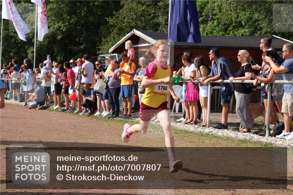 08.09.2024 - Airport Race Strokosch-Dieckow http://msf.ph/oto/7007807 08.09.2024 11:28:44 Ziel 1604, 1660, 1731, 1760, 1771, 1779, 1817, 1855, 1858, 1877, 1909, 1933, 3402, 3404 meine-sportfotos.de