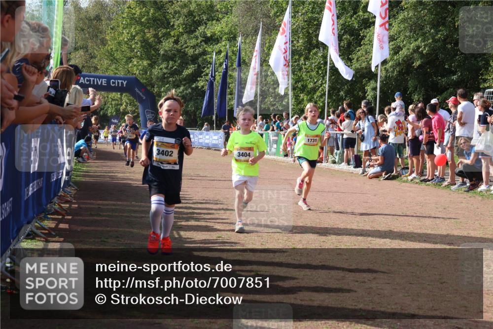 08.09.2024 - Airport Race Strokosch-Dieckow http://msf.ph/oto/7007851 08.09.2024 11:28:46 Ziel 1604, 1660, 1687, 1694, 1731, 1760, 1771, 1817, 1855, 1877, 1909, 1933, 3402, 3404 meine-sportfotos.de