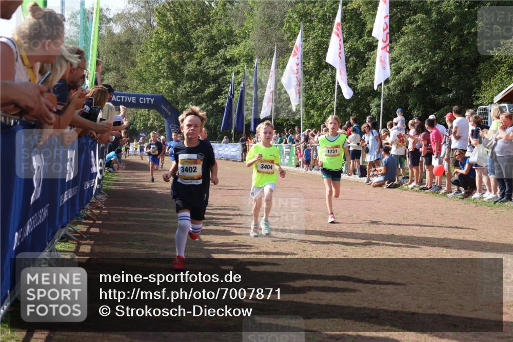 08.09.2024 - Airport Race Strokosch-Dieckow http://msf.ph/oto/7007871 08.09.2024 11:28:46 Ziel 1604, 1660, 1687, 1694, 1731, 1760, 1771, 1817, 1855, 1877, 1909, 1933, 3402, 3404 meine-sportfotos.de