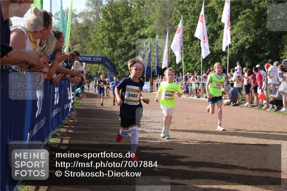 08.09.2024 - Airport Race Strokosch-Dieckow http://msf.ph/oto/7007884 08.09.2024 11:28:46 Ziel 1604, 1660, 1687, 1694, 1731, 1760, 1771, 1817, 1855, 1877, 1909, 1933, 3402, 3404 meine-sportfotos.de