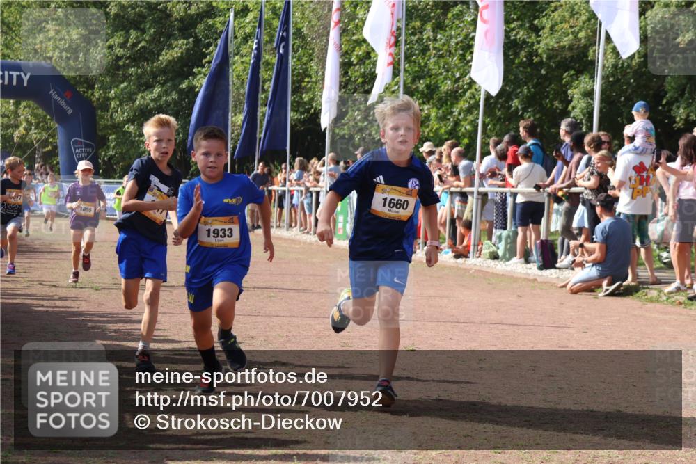 08.09.2024 - Airport Race Strokosch-Dieckow http://msf.ph/oto/7007952 08.09.2024 11:28:49 Ziel 1660, 1687, 1688, 1694, 1731, 1741, 1787, 1817, 1855, 1877, 1909, 1931, 1933, 3402, 3404 meine-sportfotos.de