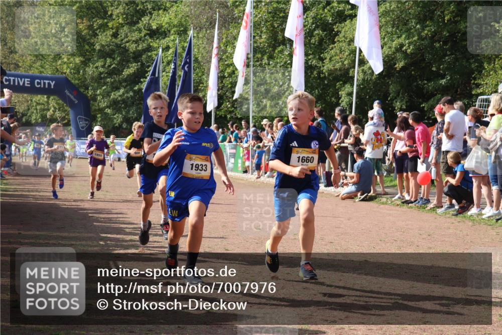 08.09.2024 - Airport Race Strokosch-Dieckow http://msf.ph/oto/7007976 08.09.2024 11:28:49 Ziel 1660, 1687, 1688, 1694, 1731, 1741, 1787, 1817, 1855, 1877, 1909, 1931, 1933, 3402, 3404 meine-sportfotos.de