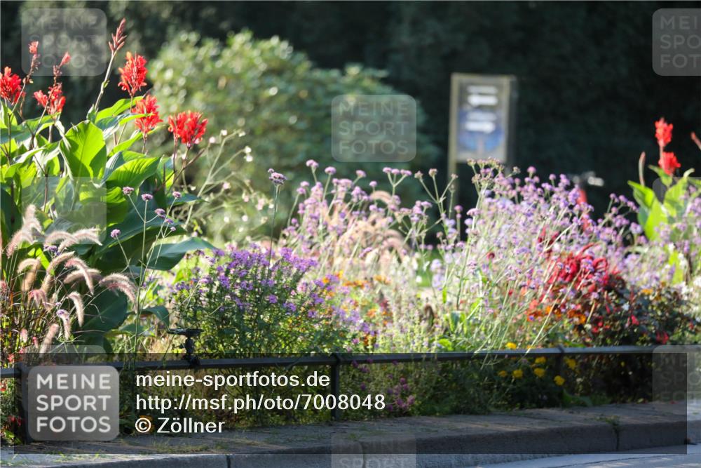 08.09.2024 - Stadtparktriathlon Zöllner http://msf.ph/oto/7008048 08.09.2024 08:52:15 Radfahren 31, 35, 40, 54, 72, 76 meine-sportfotos.de