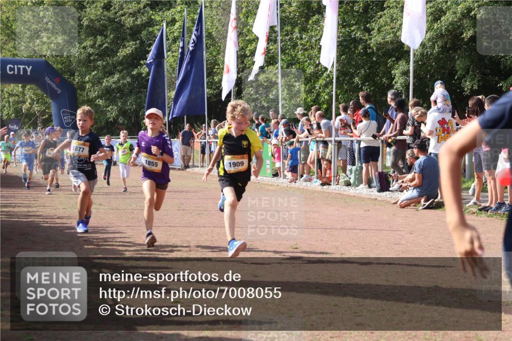 08.09.2024 - Airport Race Strokosch-Dieckow http://msf.ph/oto/7008055 08.09.2024 11:28:51 Ziel 1647, 1660, 1687, 1688, 1694, 1741, 1787, 1815, 1817, 1855, 1877, 1909, 1931, 1933, 3404 meine-sportfotos.de