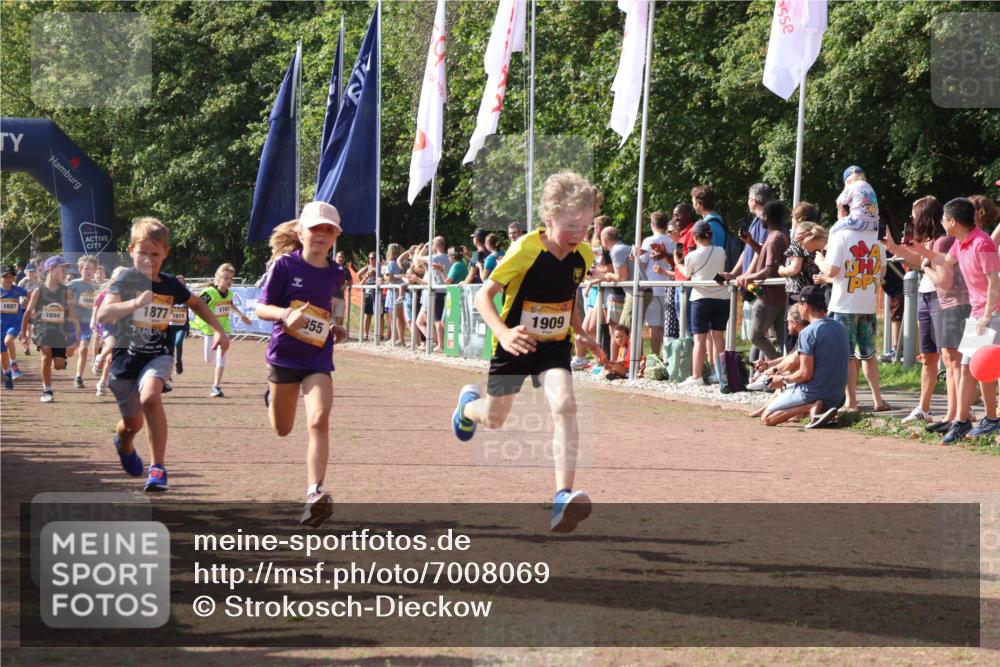 08.09.2024 - Airport Race Strokosch-Dieckow http://msf.ph/oto/7008069 08.09.2024 11:28:51 Ziel 1647, 1660, 1687, 1688, 1694, 1741, 1787, 1815, 1817, 1855, 1877, 1909, 1931, 1933, 3404 meine-sportfotos.de