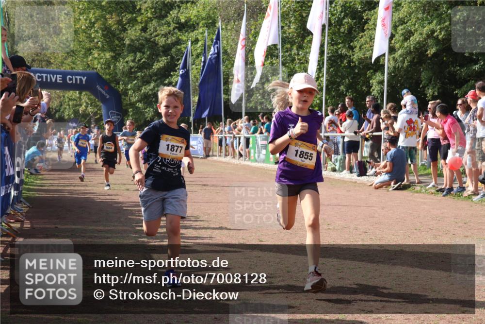 08.09.2024 - Airport Race Strokosch-Dieckow http://msf.ph/oto/7008128 08.09.2024 11:28:52 Ziel 1647, 1660, 1687, 1688, 1694, 1735, 1741, 1780, 1787, 1815, 1817, 1855, 1877, 1909, 1931 meine-sportfotos.de