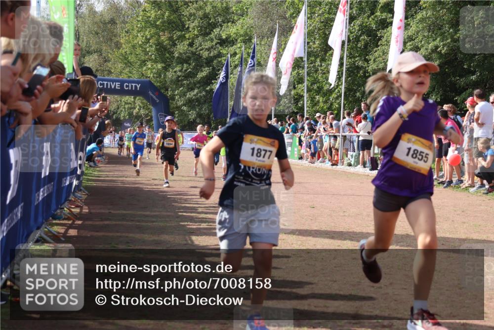 08.09.2024 - Airport Race Strokosch-Dieckow http://msf.ph/oto/7008158 08.09.2024 11:28:53 Ziel 1647, 1660, 1687, 1688, 1694, 1735, 1741, 1780, 1787, 1815, 1855, 1877, 1909, 1931 meine-sportfotos.de