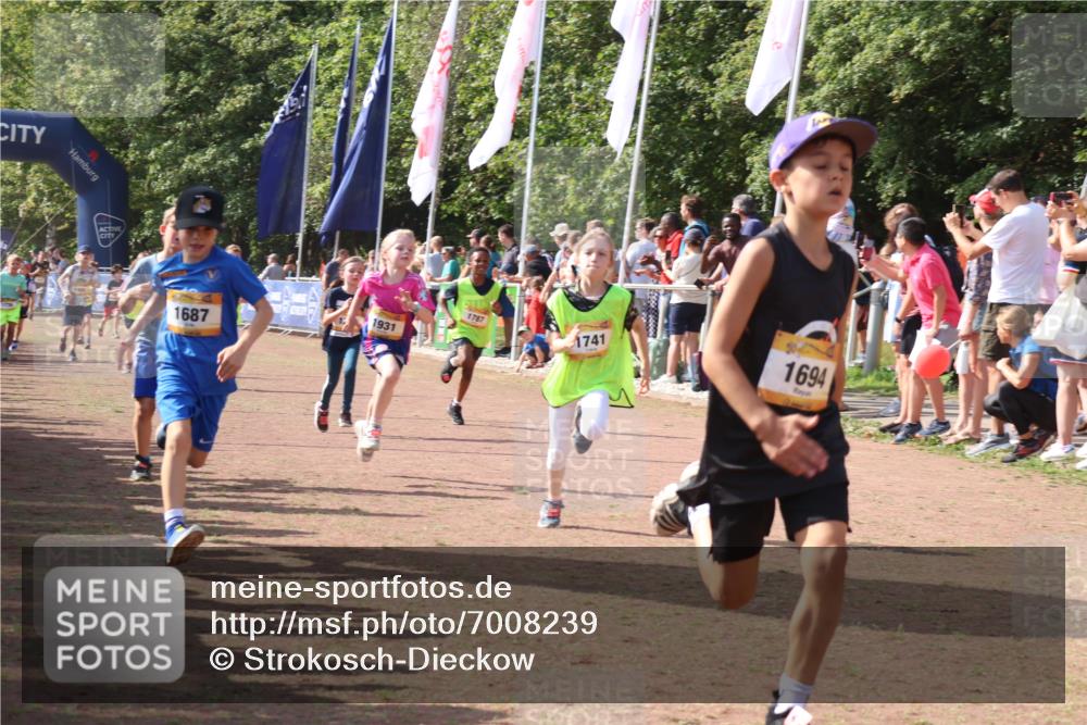 08.09.2024 - Airport Race Strokosch-Dieckow http://msf.ph/oto/7008239 08.09.2024 11:28:55 Ziel 1647, 1687, 1688, 1694, 1735, 1736, 1741, 1744, 1780, 1787, 1815, 1855, 1859, 1931, 1935 meine-sportfotos.de