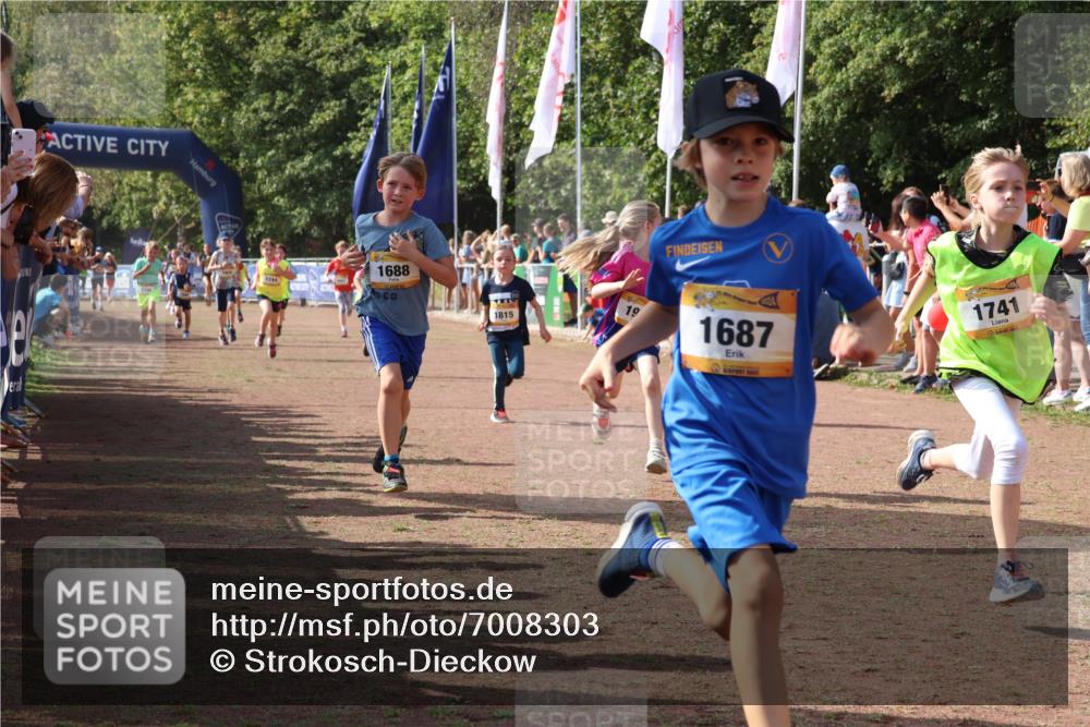 08.09.2024 - Airport Race Strokosch-Dieckow http://msf.ph/oto/7008303 08.09.2024 11:28:56 Ziel 1647, 1687, 1688, 1694, 1735, 1736, 1741, 1744, 1780, 1787, 1815, 1859, 1865, 1931, 1935 meine-sportfotos.de