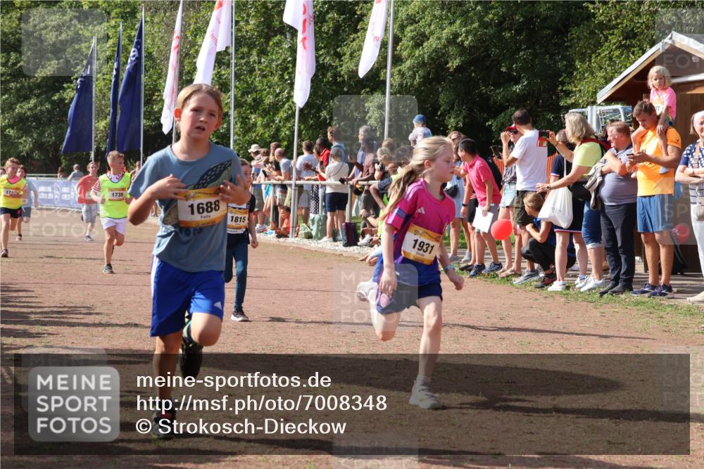 08.09.2024 - Airport Race Strokosch-Dieckow http://msf.ph/oto/7008348 08.09.2024 11:28:57 Ziel 1647, 1687, 1688, 1694, 1735, 1736, 1741, 1744, 1780, 1787, 1815, 1847, 1859, 1865, 1931, 1935 meine-sportfotos.de