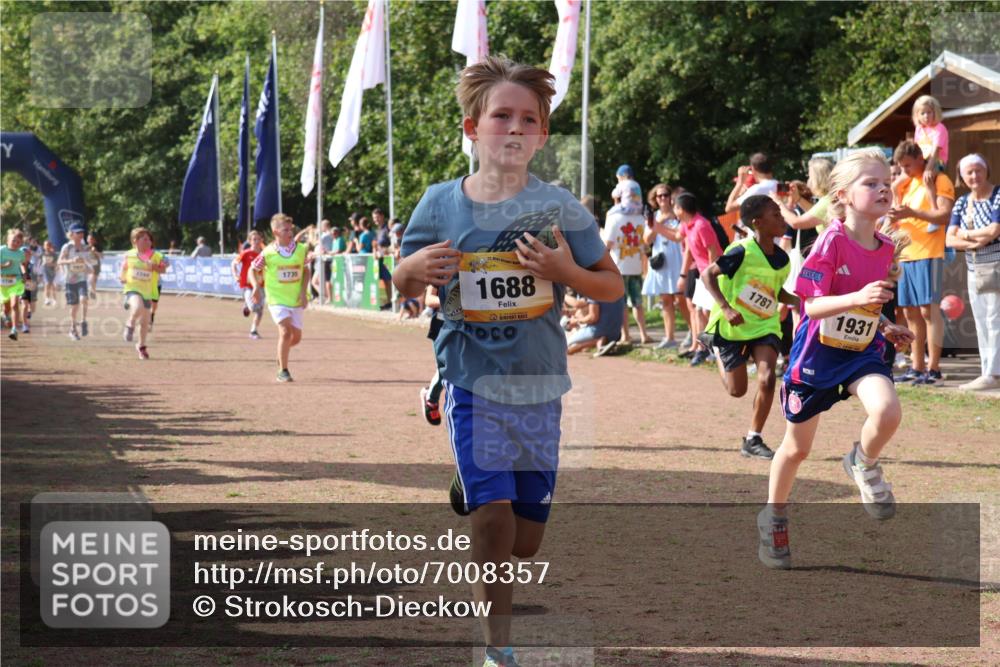 08.09.2024 - Airport Race Strokosch-Dieckow http://msf.ph/oto/7008357 08.09.2024 11:28:58 Ziel 1647, 1687, 1688, 1735, 1736, 1741, 1744, 1780, 1787, 1813, 1815, 1847, 1859, 1865, 1931, 1935, 1940 meine-sportfotos.de