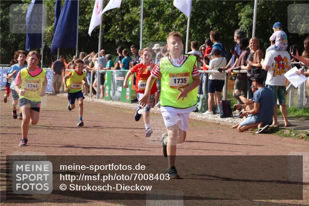08.09.2024 - Airport Race Strokosch-Dieckow http://msf.ph/oto/7008403 08.09.2024 11:28:59 Ziel 1647, 1688, 1735, 1736, 1741, 1744, 1780, 1787, 1811, 1813, 1815, 1846, 1847, 1859, 1865, 1931, 1935, 1940 meine-sportfotos.de