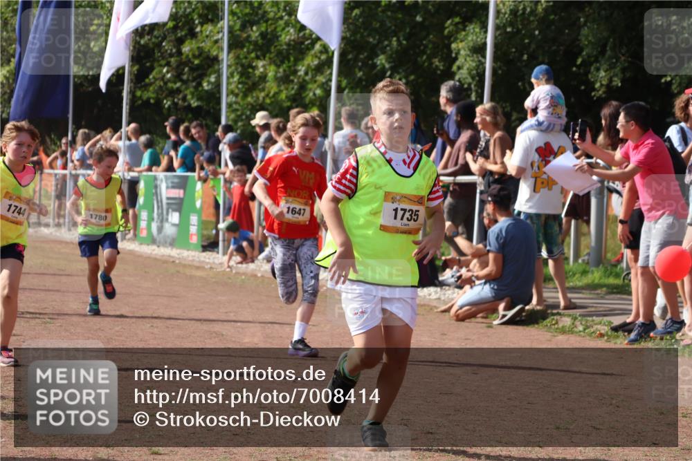 08.09.2024 - Airport Race Strokosch-Dieckow http://msf.ph/oto/7008414 08.09.2024 11:29:00 Ziel 1647, 1688, 1735, 1736, 1744, 1780, 1787, 1811, 1813, 1815, 1846, 1847, 1859, 1865, 1931, 1935, 1940 meine-sportfotos.de