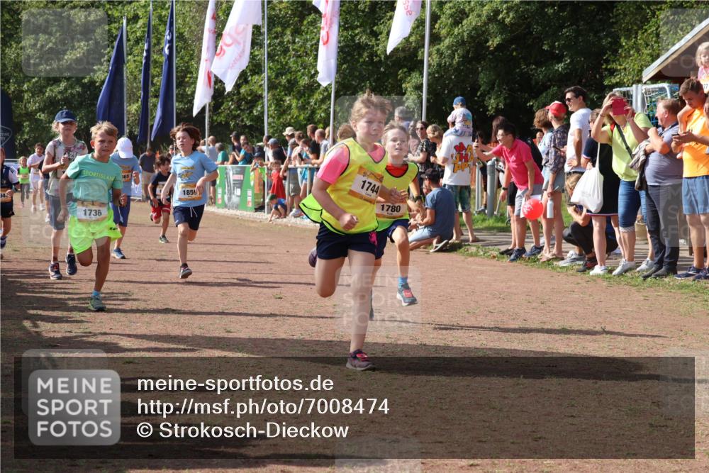 08.09.2024 - Airport Race Strokosch-Dieckow http://msf.ph/oto/7008474 08.09.2024 11:29:02 Ziel 1647, 1735, 1736, 1744, 1765, 1780, 1811, 1813, 1815, 1846, 1847, 1859, 1865, 1935, 1940, 3411 meine-sportfotos.de