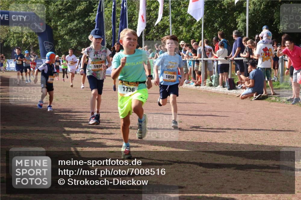 08.09.2024 - Airport Race Strokosch-Dieckow http://msf.ph/oto/7008516 08.09.2024 11:29:03 Ziel 1647, 1735, 1736, 1744, 1765, 1780, 1811, 1813, 1815, 1846, 1847, 1859, 1865, 1935, 1940, 3411 meine-sportfotos.de