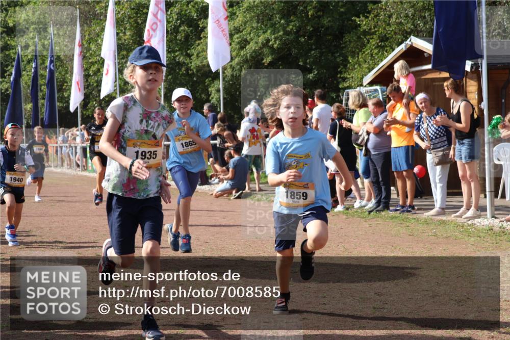 08.09.2024 - Airport Race Strokosch-Dieckow http://msf.ph/oto/7008585 08.09.2024 11:29:05 Ziel 1736, 1744, 1765, 1811, 1813, 1846, 1847, 1859, 1865, 1935, 1940, 3411 meine-sportfotos.de