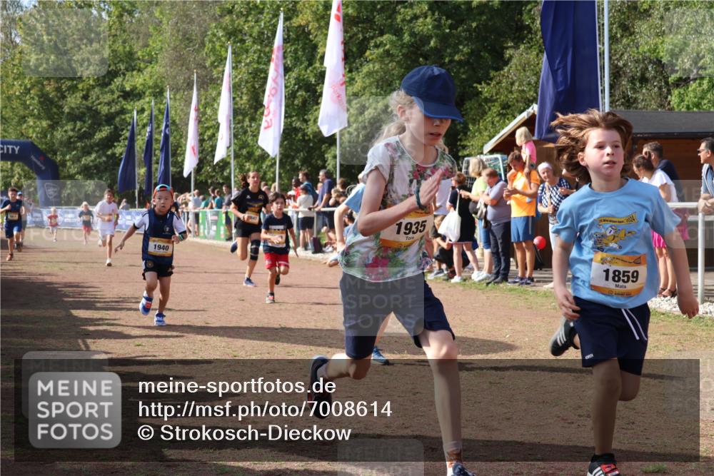 08.09.2024 - Airport Race Strokosch-Dieckow http://msf.ph/oto/7008614 08.09.2024 11:29:05 Ziel 1736, 1744, 1765, 1811, 1813, 1846, 1847, 1859, 1865, 1935, 1940, 3411 meine-sportfotos.de