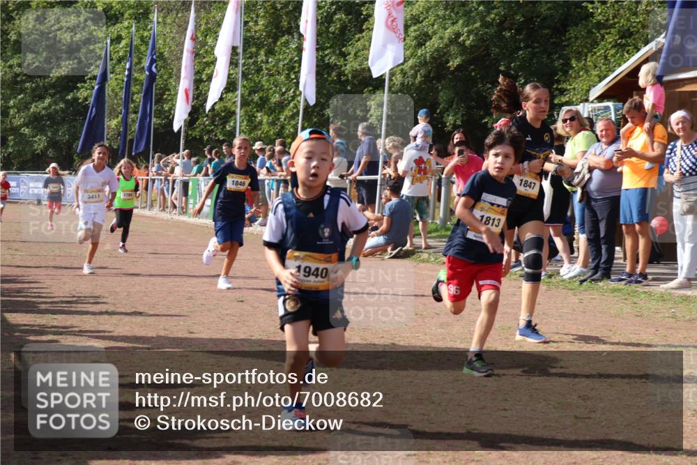 08.09.2024 - Airport Race Strokosch-Dieckow http://msf.ph/oto/7008682 08.09.2024 11:29:07 Ziel 1765, 1811, 1813, 1826, 1846, 1847, 1859, 1865, 1935, 1940, 3411, 3450 meine-sportfotos.de