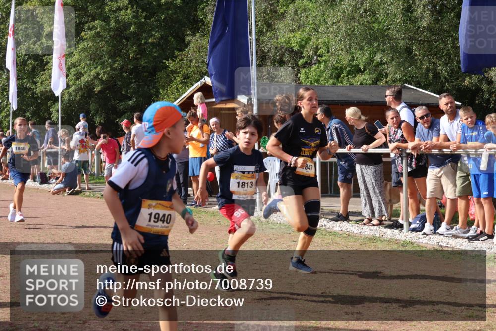 08.09.2024 - Airport Race Strokosch-Dieckow http://msf.ph/oto/7008739 08.09.2024 11:29:07 Ziel 1765, 1811, 1813, 1826, 1846, 1847, 1859, 1865, 1935, 1940, 3411, 3450 meine-sportfotos.de