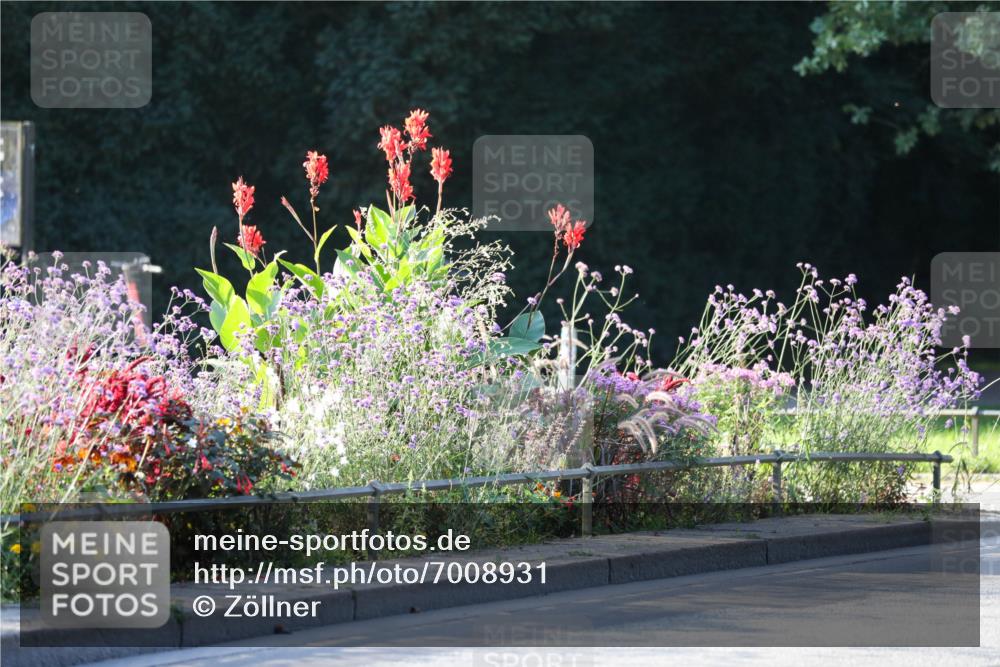 08.09.2024 - Stadtparktriathlon Zöllner http://msf.ph/oto/7008931 08.09.2024 08:53:56 Radfahren 6, 7, 13, 14, 16 meine-sportfotos.de