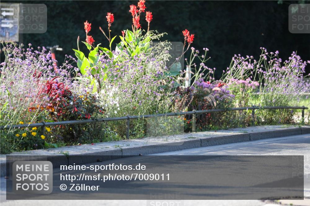 08.09.2024 - Stadtparktriathlon Zöllner http://msf.ph/oto/7009011 08.09.2024 08:54:00 Radfahren 6, 7, 13, 16, 64 meine-sportfotos.de