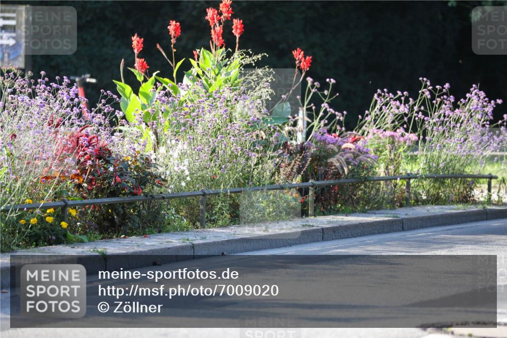 08.09.2024 - Stadtparktriathlon Zöllner http://msf.ph/oto/7009020 08.09.2024 08:54:00 Radfahren 6, 7, 13, 16, 64 meine-sportfotos.de