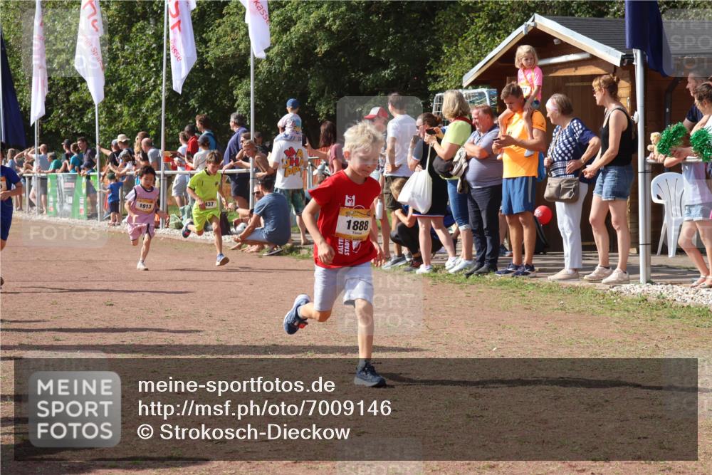 08.09.2024 - Airport Race Strokosch-Dieckow http://msf.ph/oto/7009146 08.09.2024 11:29:17 Ziel 1686, 1710, 1711, 1800, 1826, 1854, 1888, 1913, 3437, 3442, 3450 meine-sportfotos.de