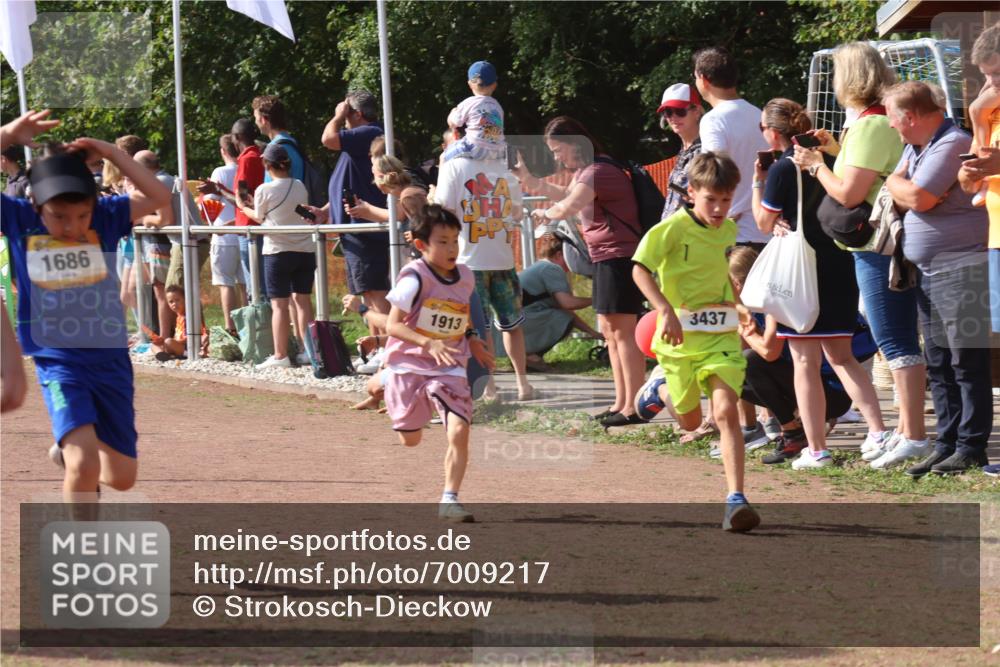08.09.2024 - Airport Race Strokosch-Dieckow http://msf.ph/oto/7009217 08.09.2024 11:29:18 Ziel 1630, 1686, 1710, 1711, 1800, 1826, 1854, 1888, 1913, 3437, 3442, 3450 meine-sportfotos.de