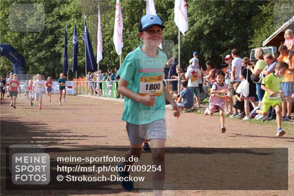 08.09.2024 - Airport Race Strokosch-Dieckow http://msf.ph/oto/7009254 08.09.2024 11:29:19 Ziel 1630, 1651, 1686, 1710, 1711, 1800, 1854, 1888, 1913, 3437, 3442 meine-sportfotos.de