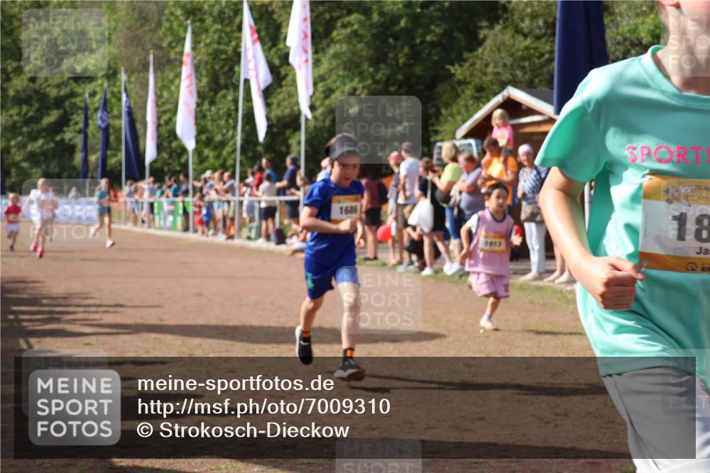 08.09.2024 - Airport Race Strokosch-Dieckow http://msf.ph/oto/7009310 08.09.2024 11:29:20 Ziel 1630, 1651, 1686, 1710, 1711, 1800, 1854, 1888, 1913, 3437, 3442 meine-sportfotos.de