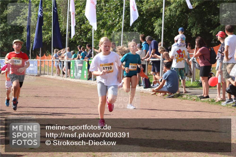 08.09.2024 - Airport Race Strokosch-Dieckow http://msf.ph/oto/7009391 08.09.2024 11:29:23 Ziel 1630, 1644, 1651, 1686, 1696, 1710, 1711, 1778, 1854, 1913, 1920, 3414, 3437, 3442 meine-sportfotos.de