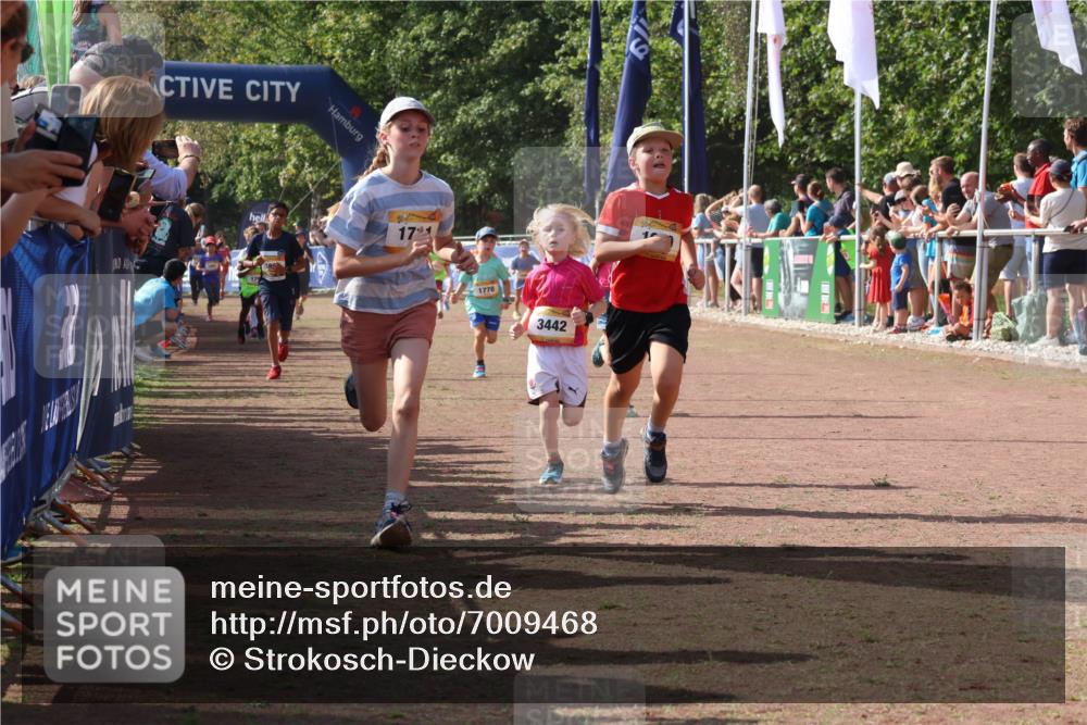 08.09.2024 - Airport Race Strokosch-Dieckow http://msf.ph/oto/7009468 08.09.2024 11:29:24 Ziel 1630, 1644, 1651, 1656, 1696, 1699, 1701, 1710, 1711, 1778, 1854, 1913, 1920, 3414, 3442 meine-sportfotos.de