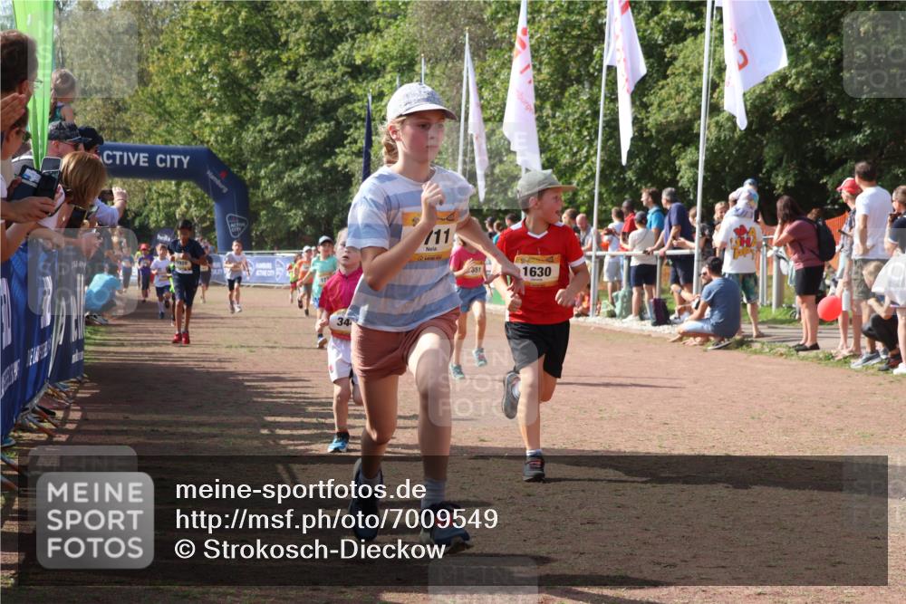 08.09.2024 - Airport Race Strokosch-Dieckow http://msf.ph/oto/7009549 08.09.2024 11:29:25 Ziel 1630, 1641, 1644, 1651, 1656, 1696, 1699, 1701, 1710, 1711, 1778, 1854, 1920, 3414, 3442 meine-sportfotos.de